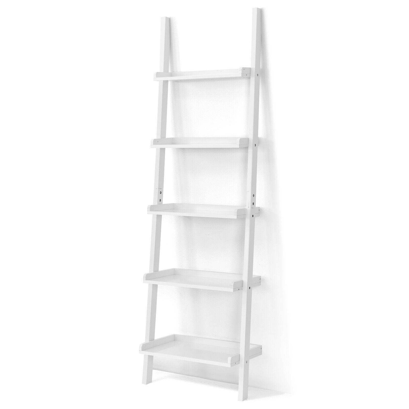5-Tier Wall-leaning Ladder Shelf Display Rack for Plants and Books