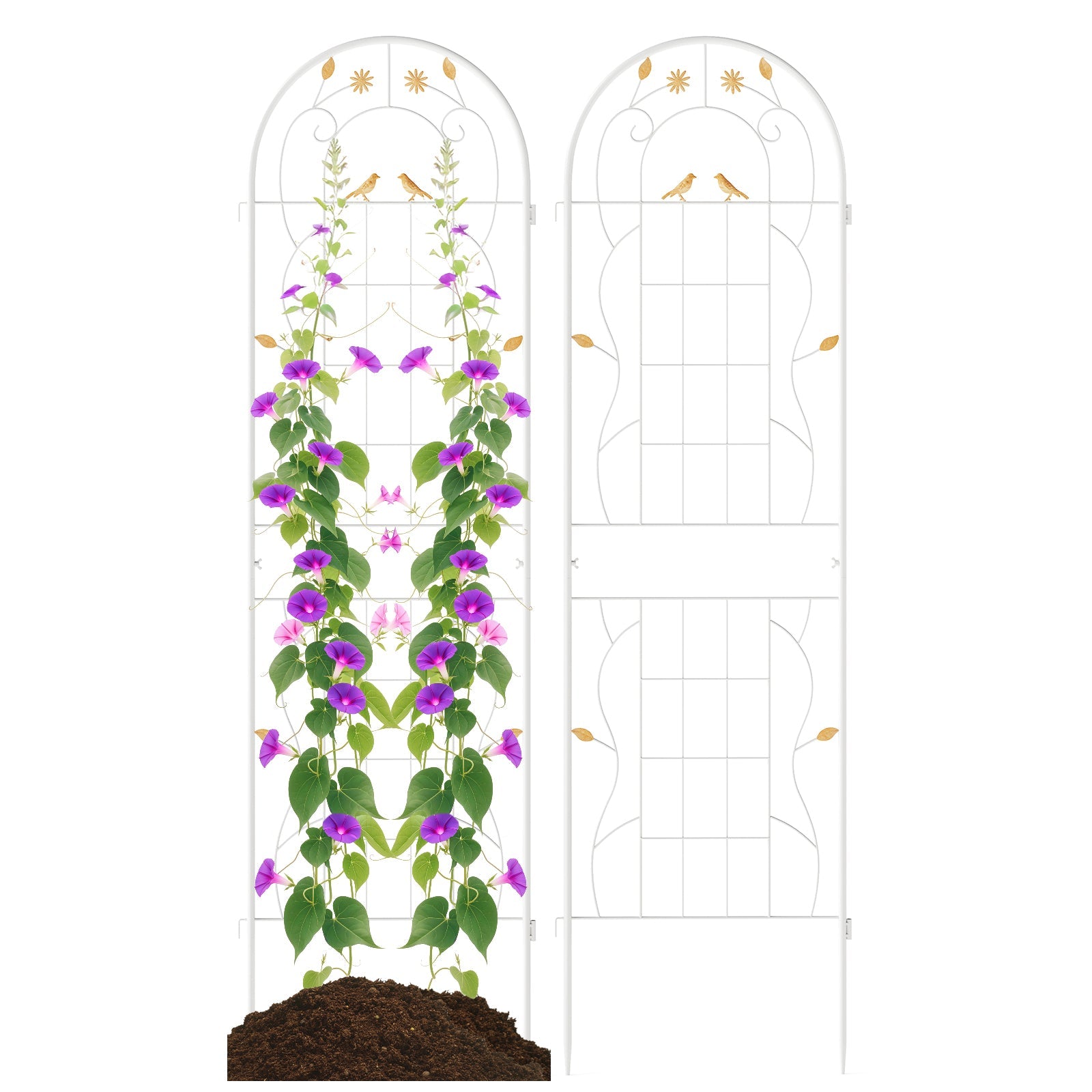 2 Pack 71 x 20 Inch Metal Garden Trellis Rustproof Plant Support for Climbing Plants