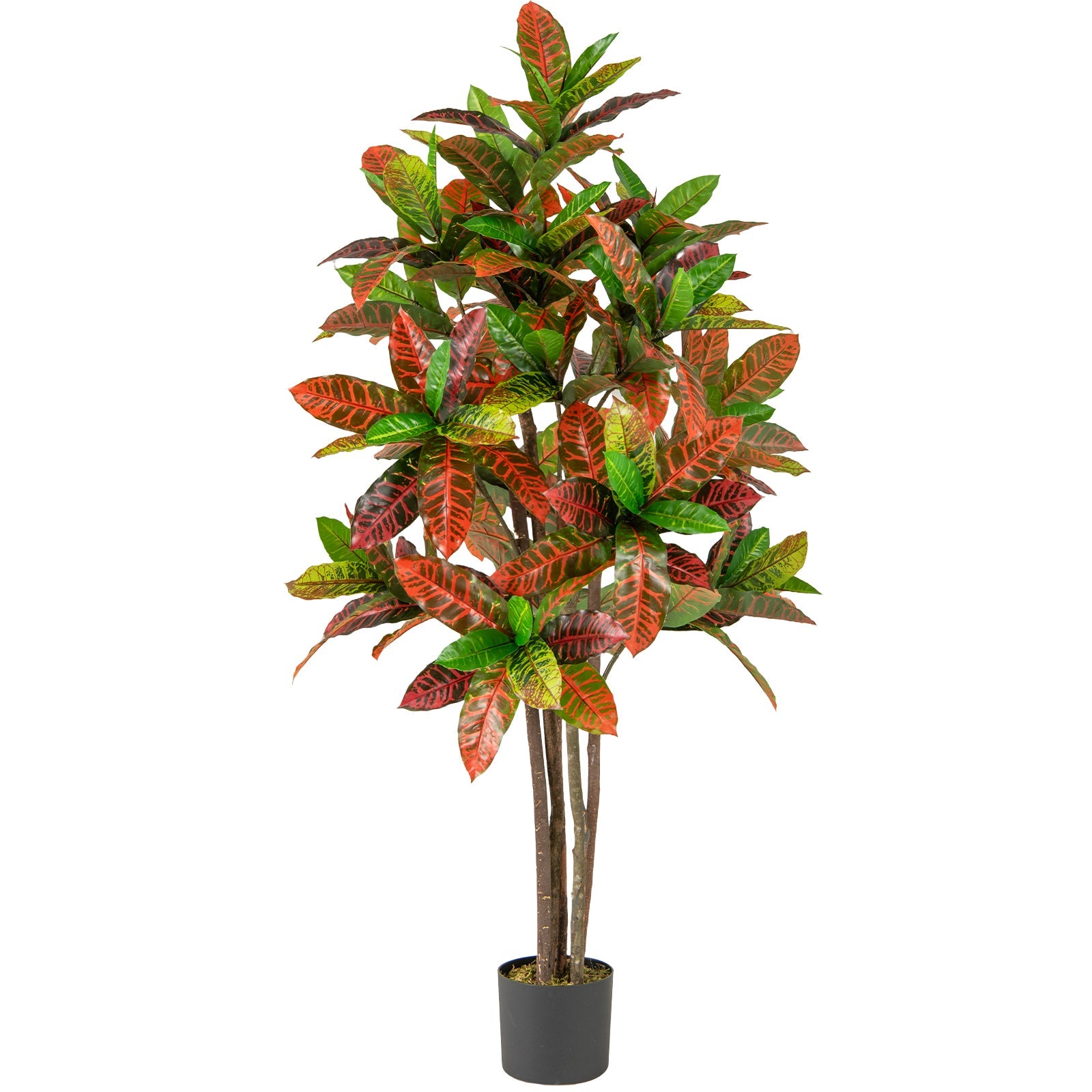 5 FT Tall Artificial Croton Plant with Gradient Leaves and Nursery Pot