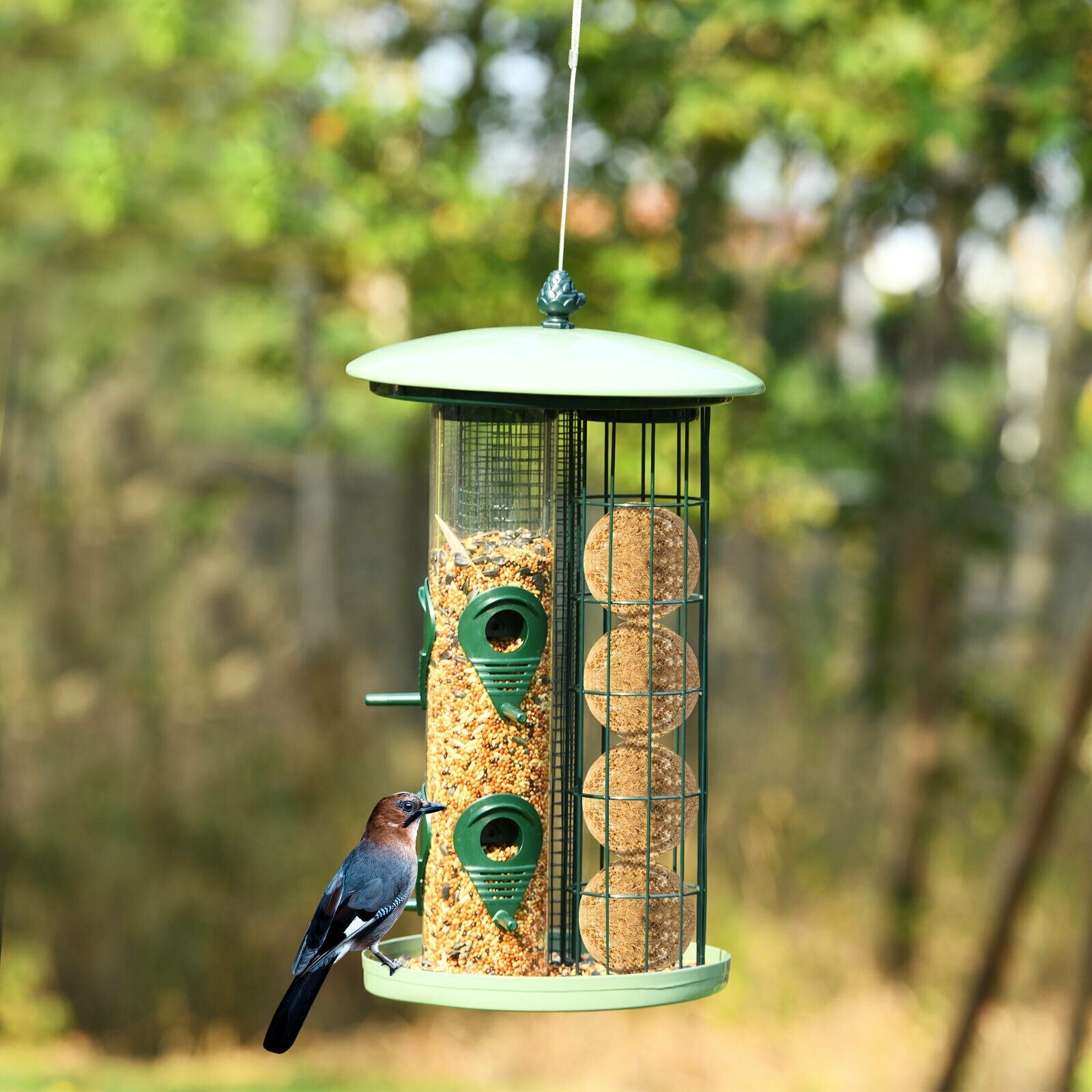 3-in-1 Metal Hanging Wild Bird Feeder with 4 Feeding Ports and Perches